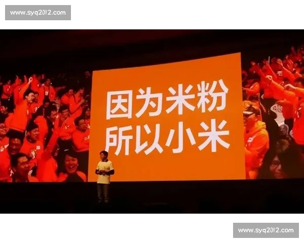 粉丝文化对社会认同与消费行为影响的多维探析